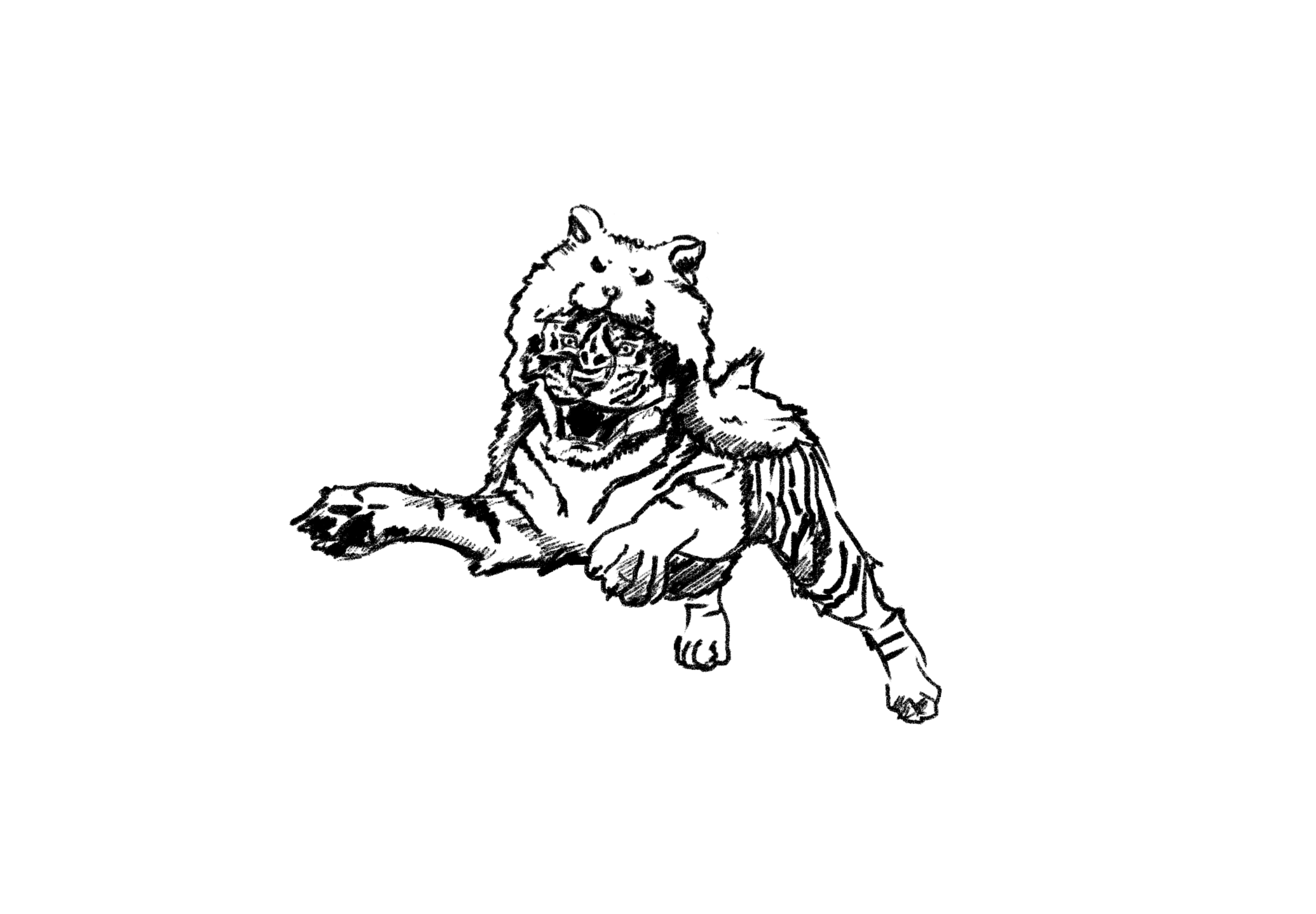 Don’t Make a Hamster out of a Tiger